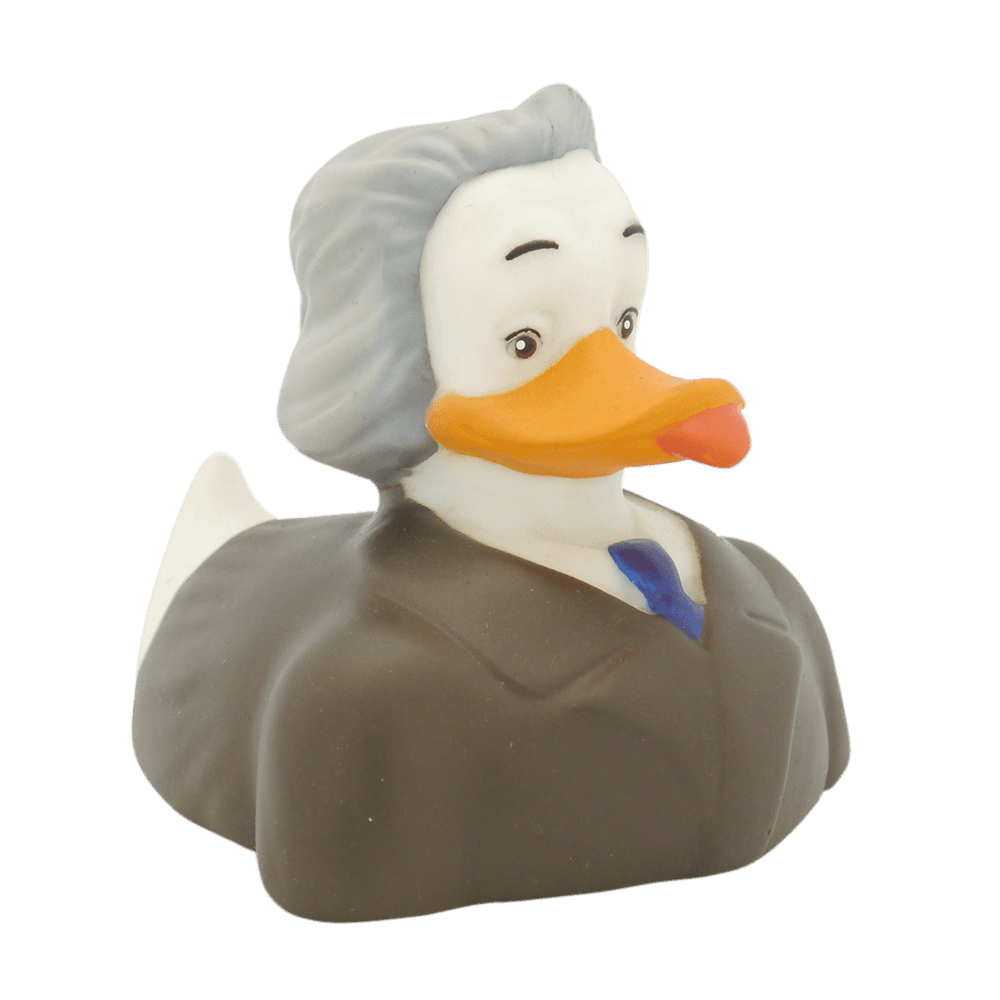 Canard Albert Duckstein
