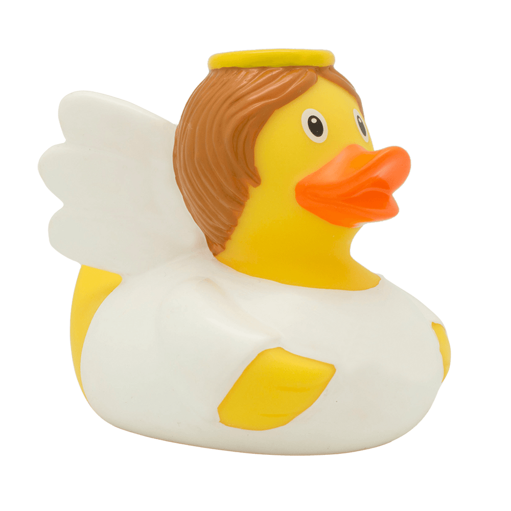 Pato anjo da guarda branca
