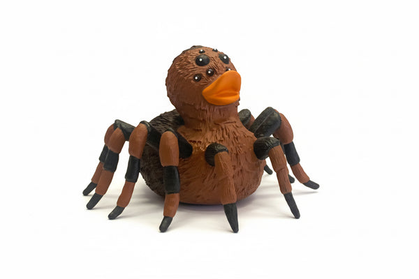 Canard Tarentule