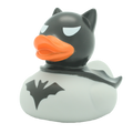 Pato escuro cinza escuro