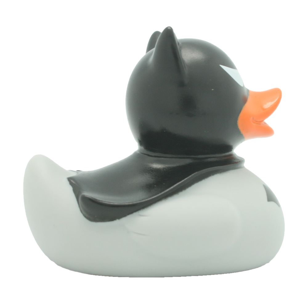 Pato escuro cinza escuro