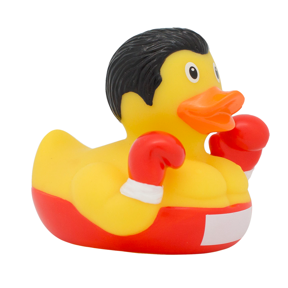 Ente Boxe