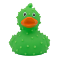 Cacto de pato