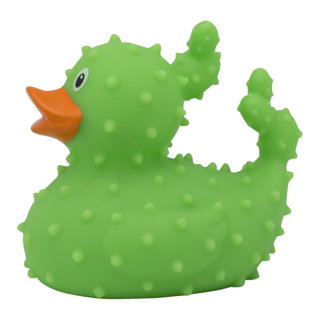 Cactus de pato