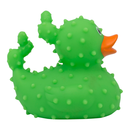 Cactus de pato