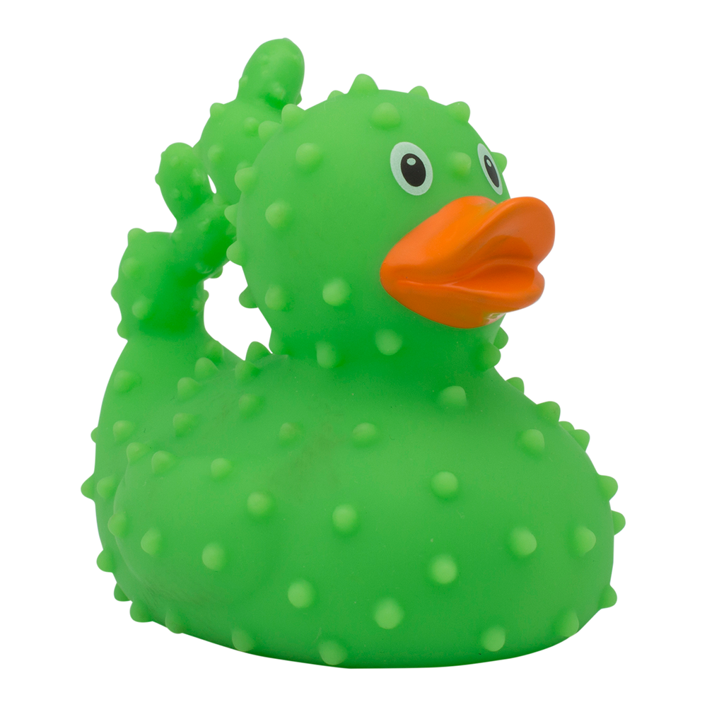 Cacto de pato