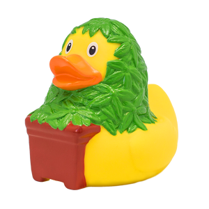 Ente Cannabis