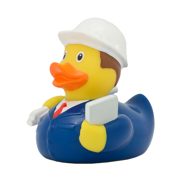 Engenheiro de pato