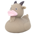 アヒルヤギ