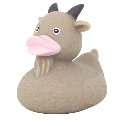 Pato de cabra