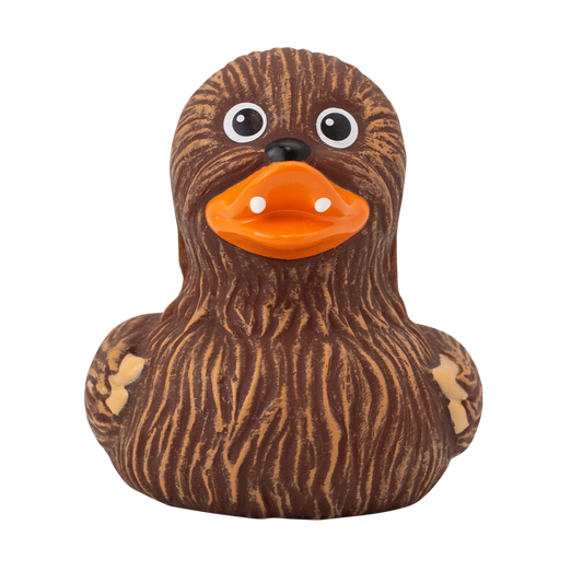 Canard Chewie