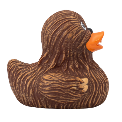 Canard Chewie