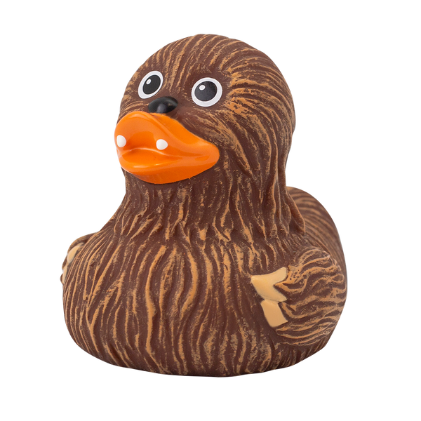 Pato