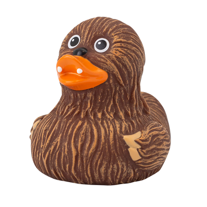 Canard Chewie