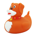 Pato