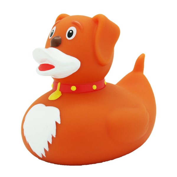 Pato