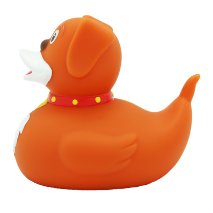 Canard Chien