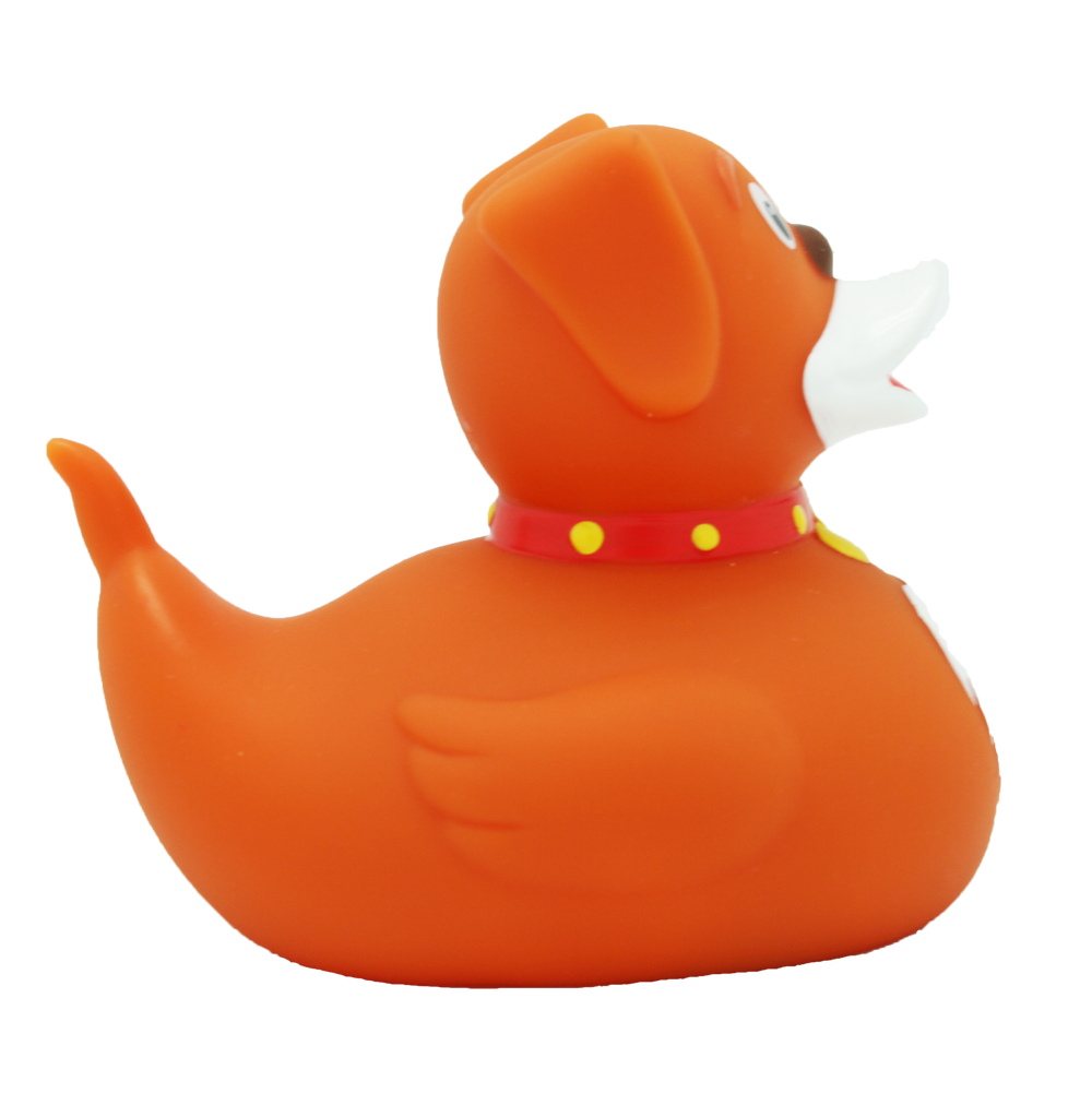 Pato