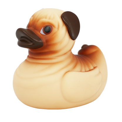 Perro de pato