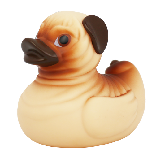 Cachorro de pato
