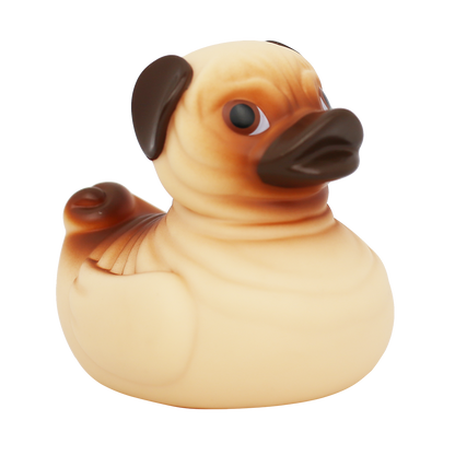 Perro de pato