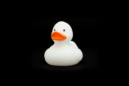 Canard Classique Blanc