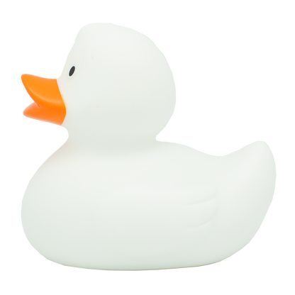 Canard Classique Blanc