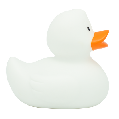 Canard Classique Blanc