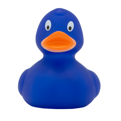 Classic blue duck