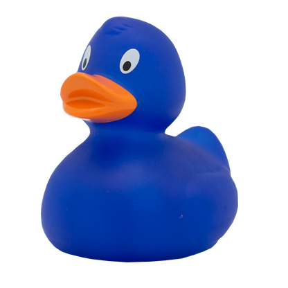 Classic blue duck