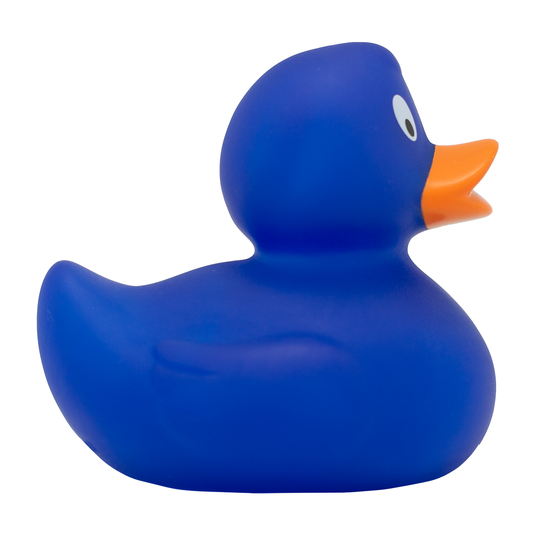 Classic blue duck