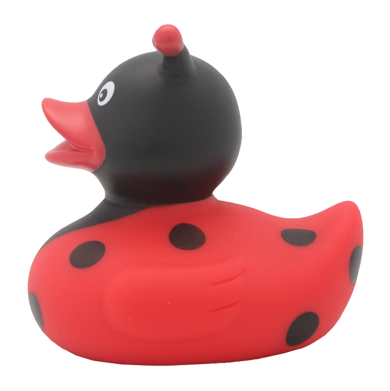 Canard Coccinelle