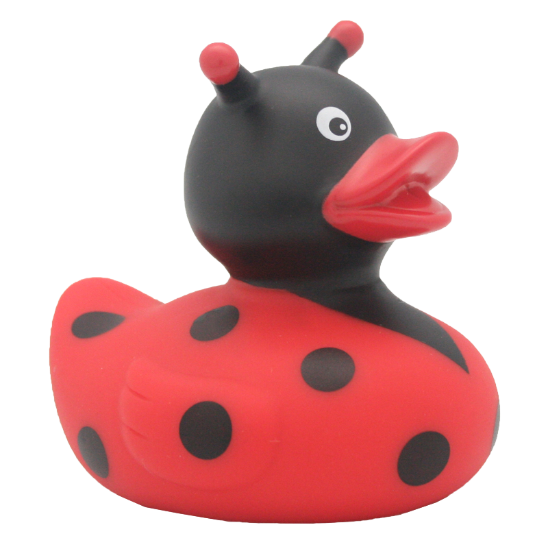 Canard Coccinelle