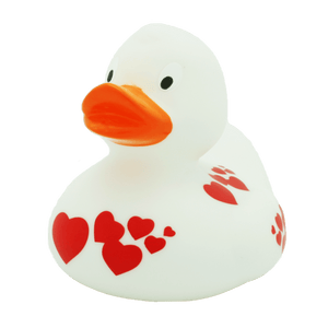 Cuore di anatra bianca