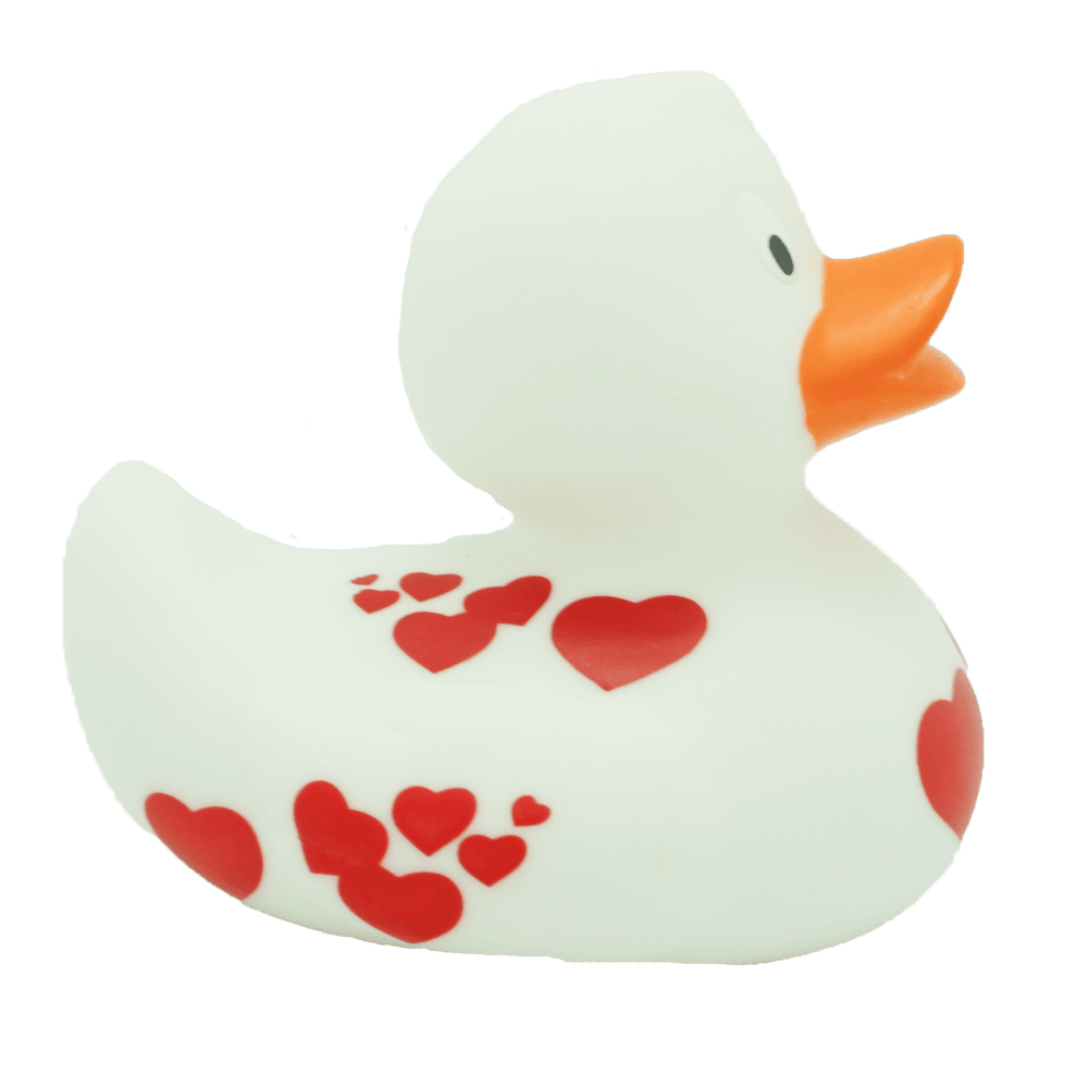Pato blanco