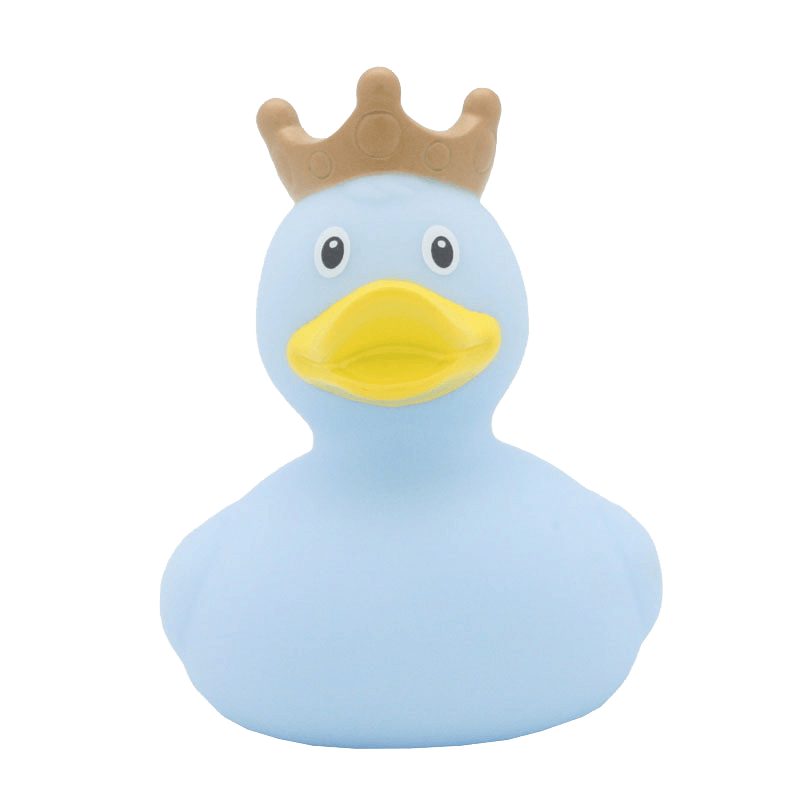 Pato azul da coroa