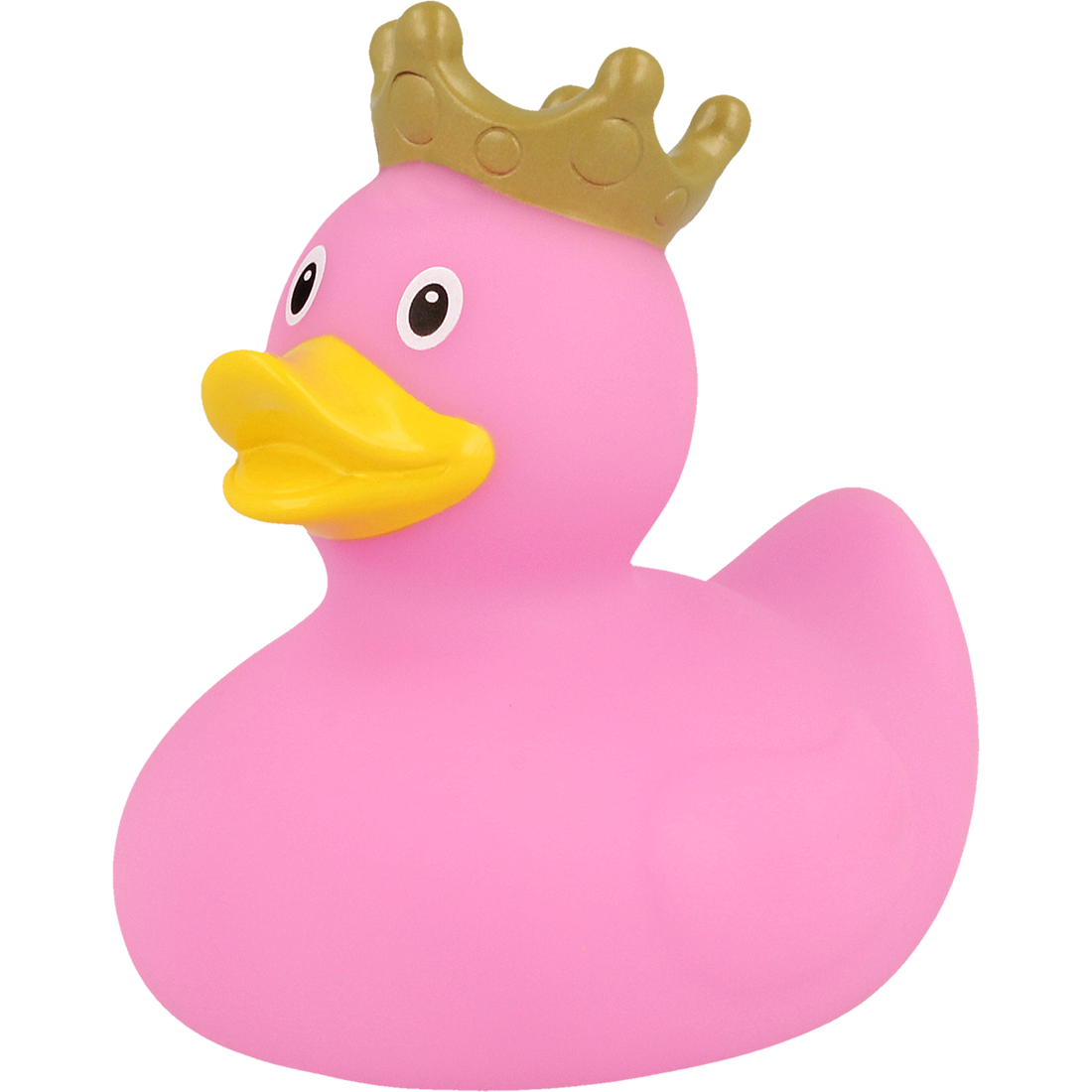 Pato rosa da coroa