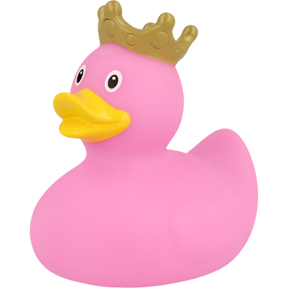 Pato rosa da coroa