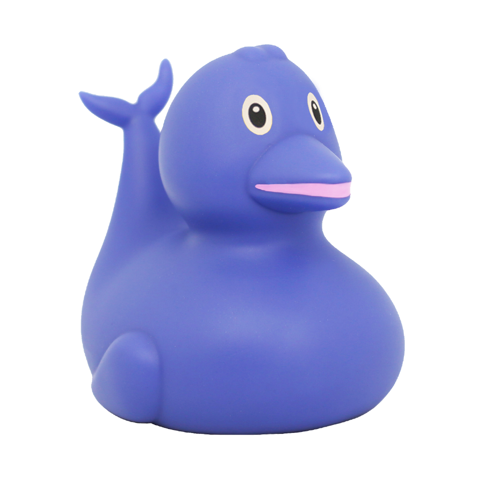 アヒルイルカ