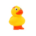 Ente Debout Fleur