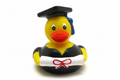 Ente Absolvent