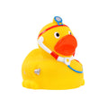 Ente Docteur