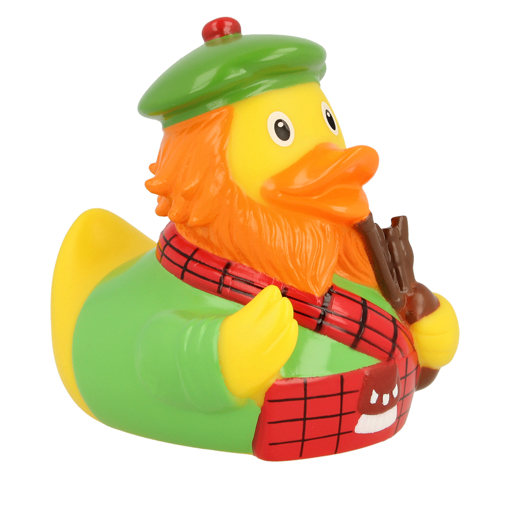 Scottish duck