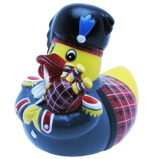 Scottish duck