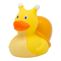 Canard Escargot