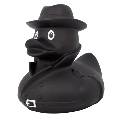 Spy duck