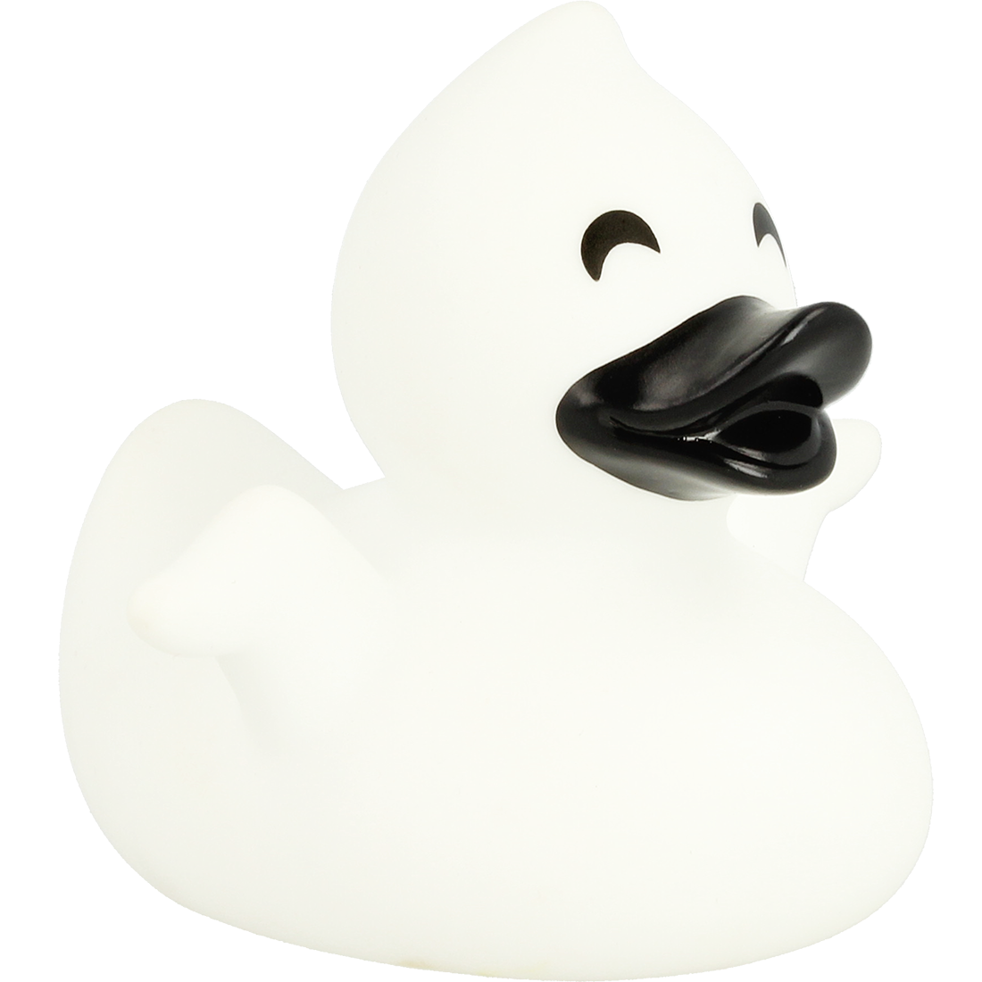 Ghost duck