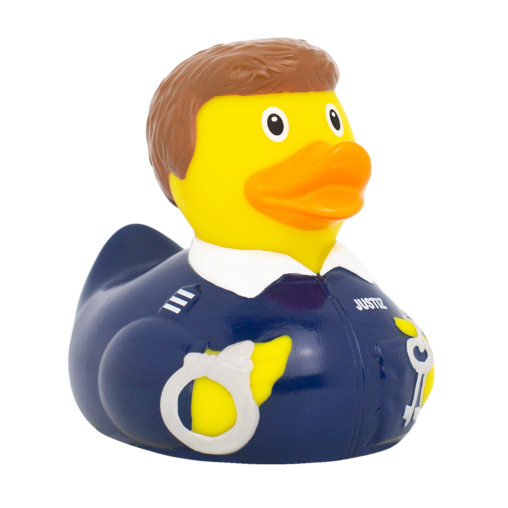 Pato guarda prisional