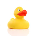 Canard Géant Jaune - 4XL