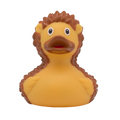 Hedgehog duck
